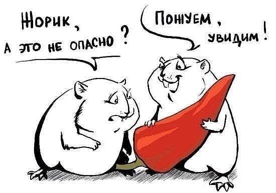 Жорик, это не опасно?