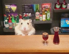 Ничего особенного, это просто хомяки-бармены