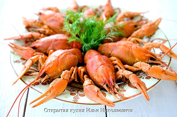 Сказ о том, как Илья Николаевич раков ел