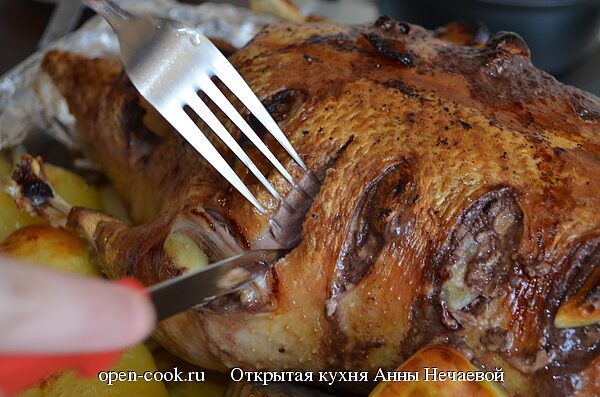 Первоапрельская утка